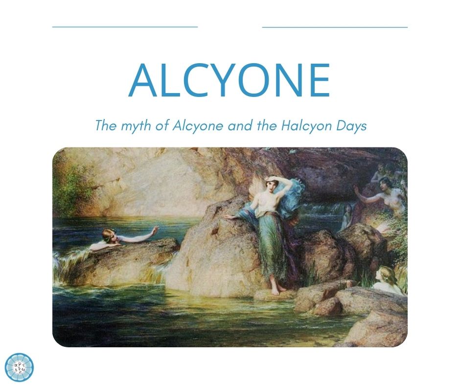 halcyon-name-meaning-of-halcyon